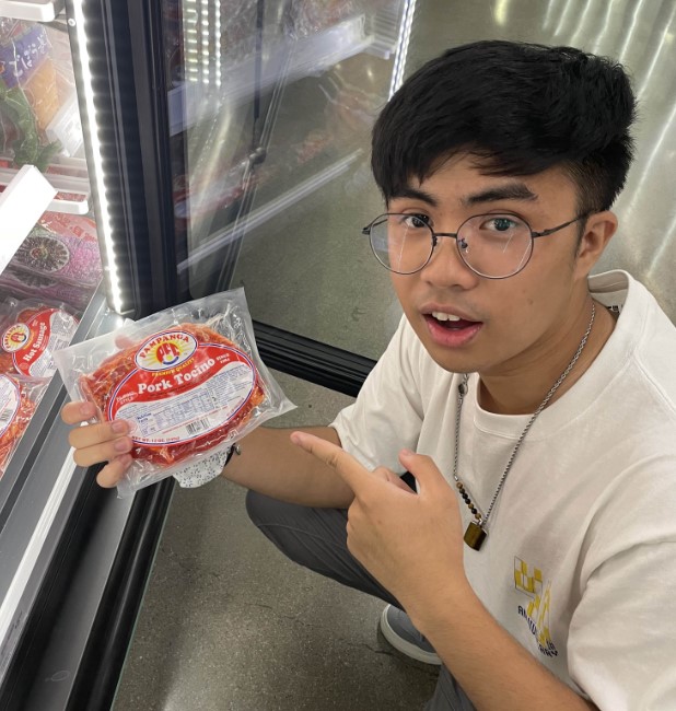 a sea lion sitting upright at the beach